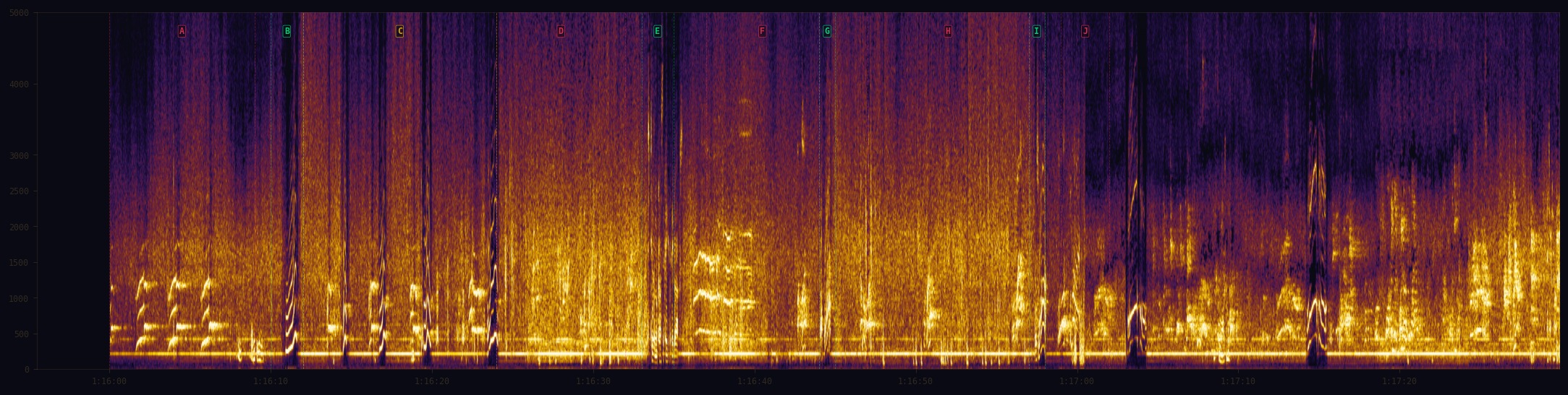 Full spectrogram of Sierra Sounds field recording showing frequency distribution over time